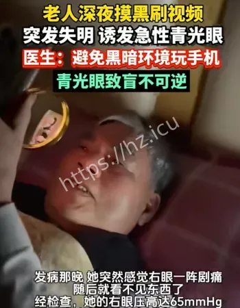 青光眼致盲不可逆