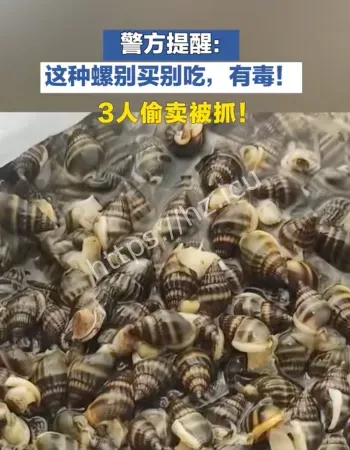 这种螺剧毒致命